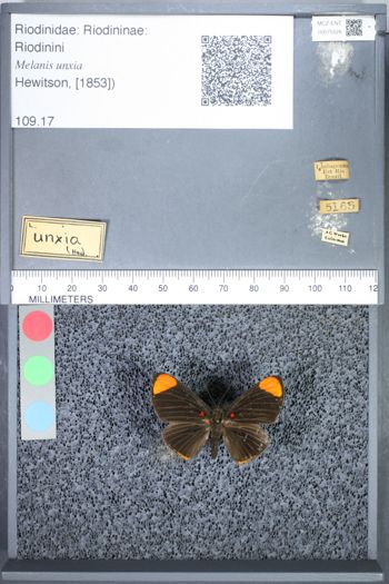 Media type: image;   Entomology 75528